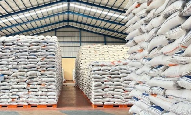 Gudang Di Saudi Di Siapkan Bulog Untuk Tampung Beras Ekspor