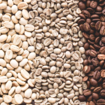 Perjalanan Kopi Dari Biji Hingga Menjadi Minuman Favorit Dunia