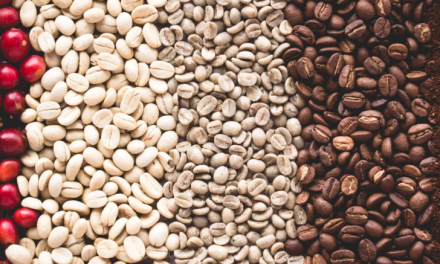 Perjalanan Kopi Dari Biji Hingga Menjadi Minuman Favorit Dunia