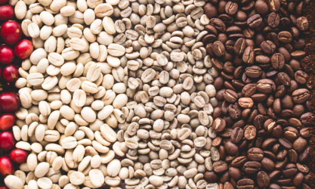 Perjalanan Kopi Dari Biji Hingga Menjadi Minuman Favorit Dunia