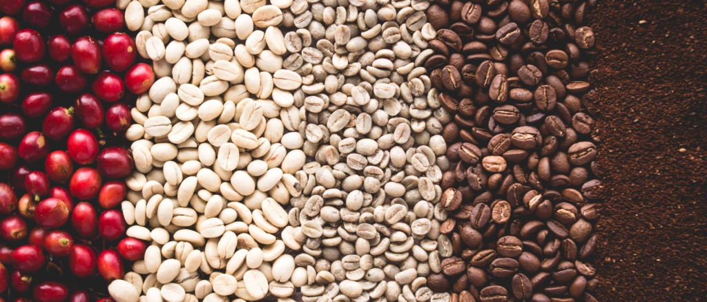 Perjalanan Kopi Dari Biji Hingga Menjadi Minuman Favorit Dunia