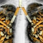 Dampak Merokok Terhadap Kesehatan Tubuh Dan Paru-Paru