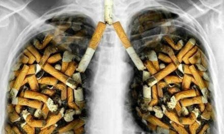 Dampak Merokok Terhadap Kesehatan Tubuh Dan Paru-Paru