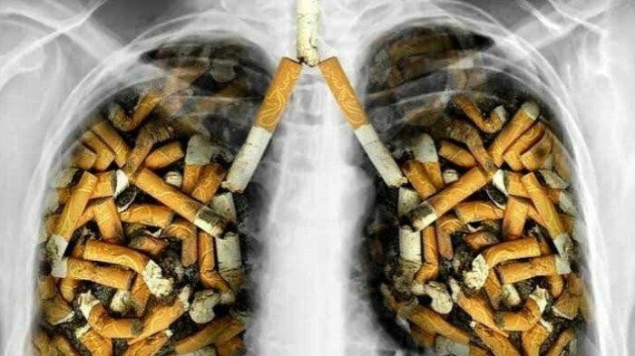 Dampak Merokok Terhadap Kesehatan Tubuh Dan Paru-Paru