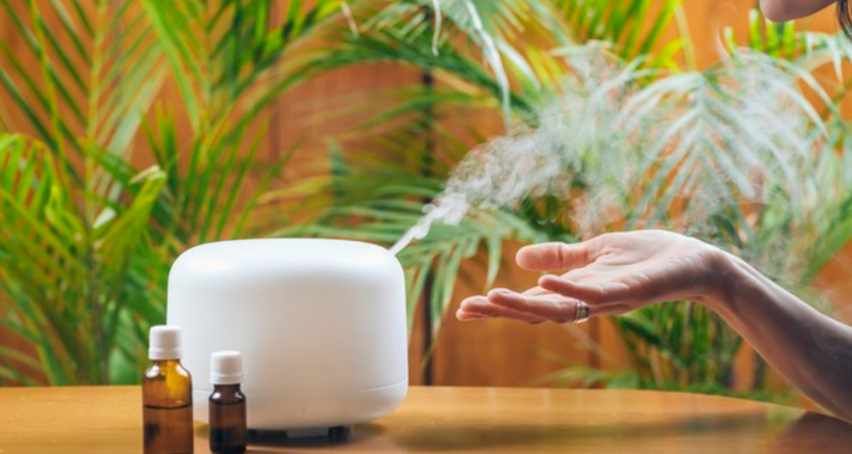 Aroma Yang Menenangkan: Diffuser Semakin Populer Di Rumah