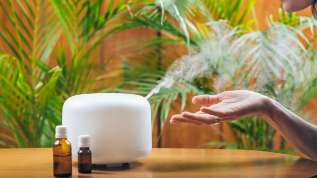 Aroma Yang Menenangkan: Diffuser Semakin Populer Di Rumah