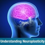 Neuroplasticity: Kemampuan Otak Manusia Sembuhkan Trauma