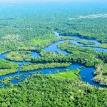 Sungai Amazon: Keanekaragaman Hayati, Dan Peran Bagi Bumi