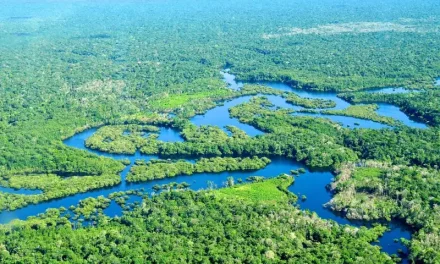 Sungai Amazon: Keanekaragaman Hayati, Dan Peran Bagi Bumi