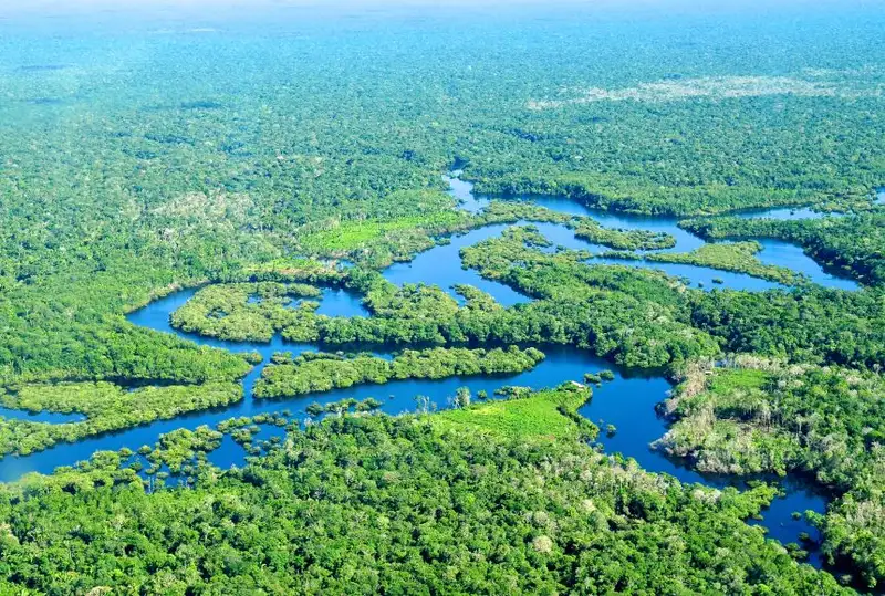 Sungai Amazon: Keanekaragaman Hayati, Dan Peran Bagi Bumi