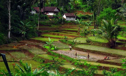 Ekowisata: Konsep Perjalanan Yang Memperhatikan Lingkungan