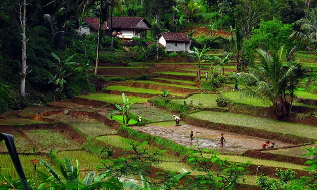 Ekowisata: Konsep Perjalanan Yang Memperhatikan Lingkungan