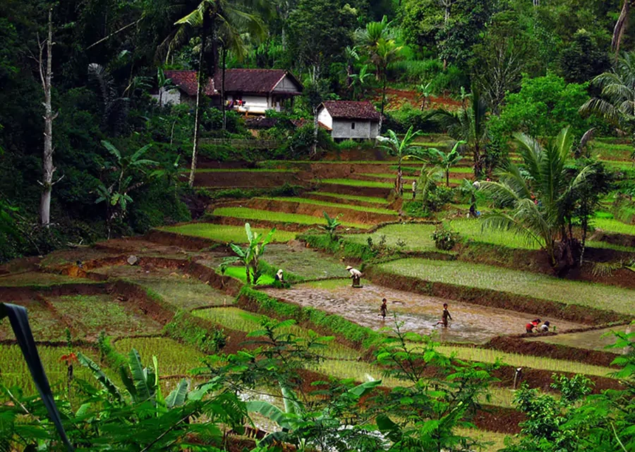 Ekowisata: Konsep Perjalanan Yang Memperhatikan Lingkungan