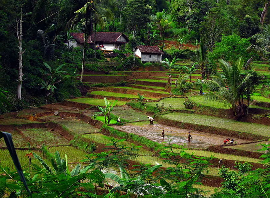 Ekowisata: Konsep Perjalanan Yang Memperhatikan Lingkungan