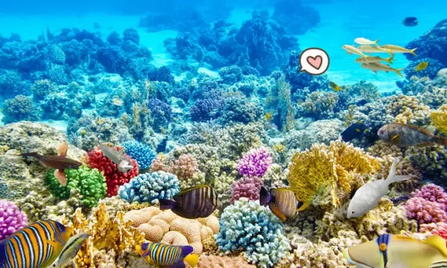 Terumbu Karang: Habitat Penting Bagi Berbagai Organisme Laut