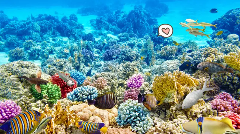 Terumbu Karang: Habitat Penting Bagi Berbagai Organisme Laut