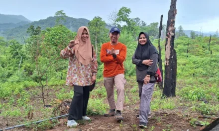 Wisata Pegunungan: Yang Perlu Disiapkan Sebelum Berkunjung