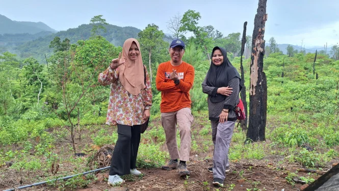 Wisata Pegunungan: Yang Perlu Disiapkan Sebelum Berkunjung