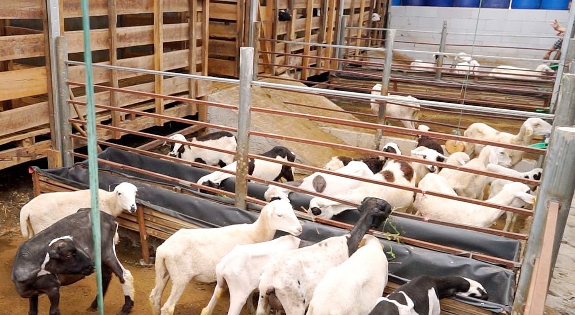 Limbah Pertanian: Pengolahan Menjadi Produk Yang Bernilai Guna