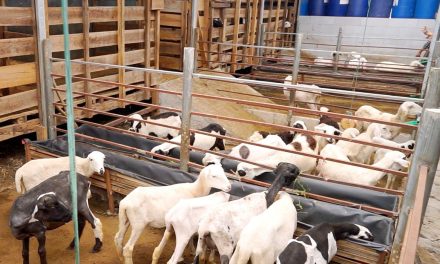 Limbah Pertanian: Pengolahan Menjadi Produk Yang Bernilai Guna